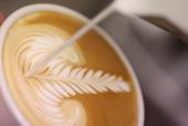 Jak se maluje do kávyPodívejte se na základní techniky latté artu