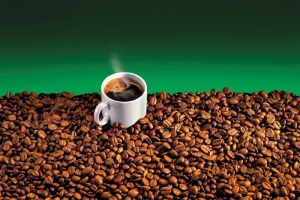 Kofein a jeho účinky na lidský organismus